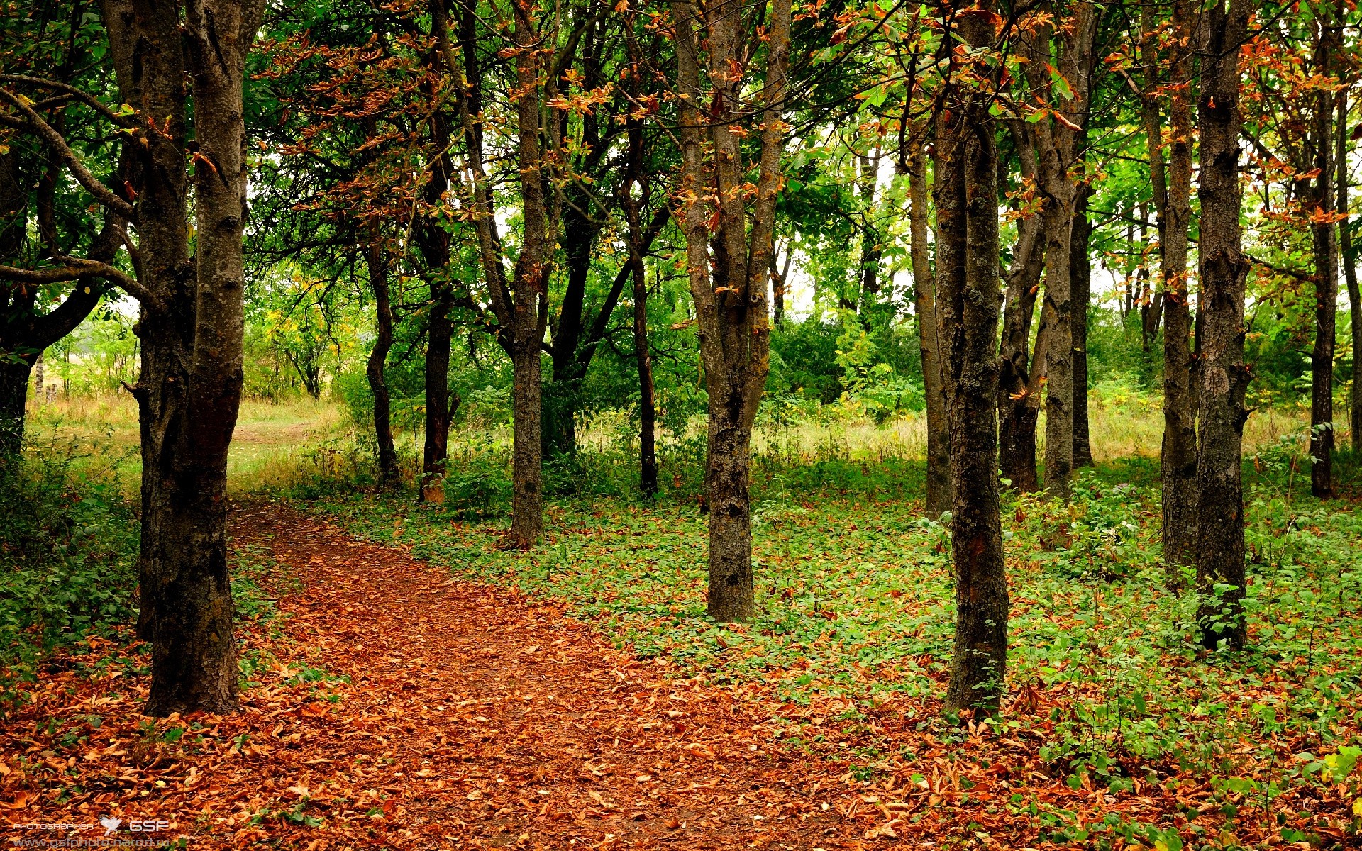历史夜，狂砍45+12！深圳队面前，米切尔打出了定义自己的一战