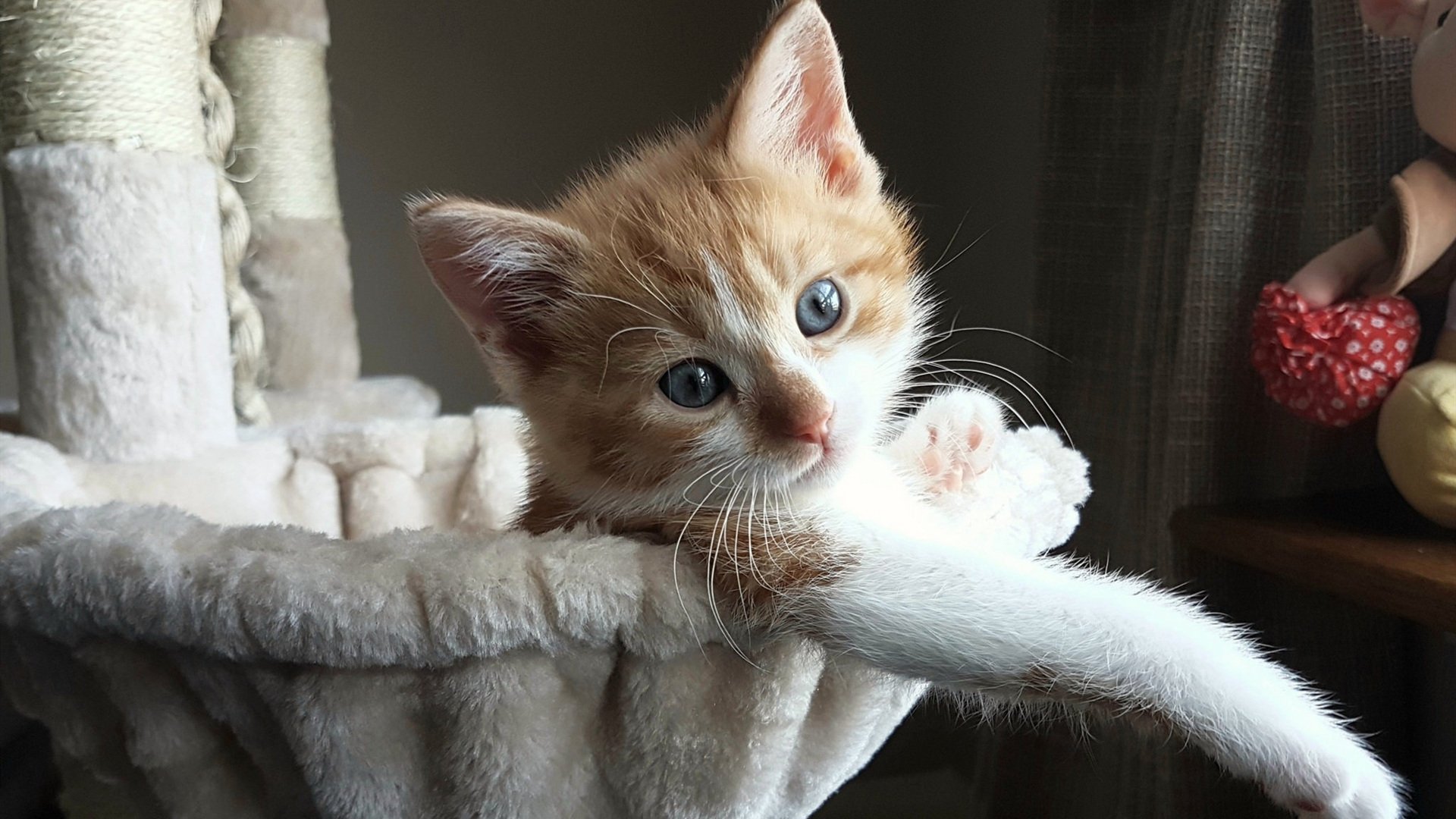 NBA式终场逆袭！乌克兰末节一波流带走德甲巨人拜仁