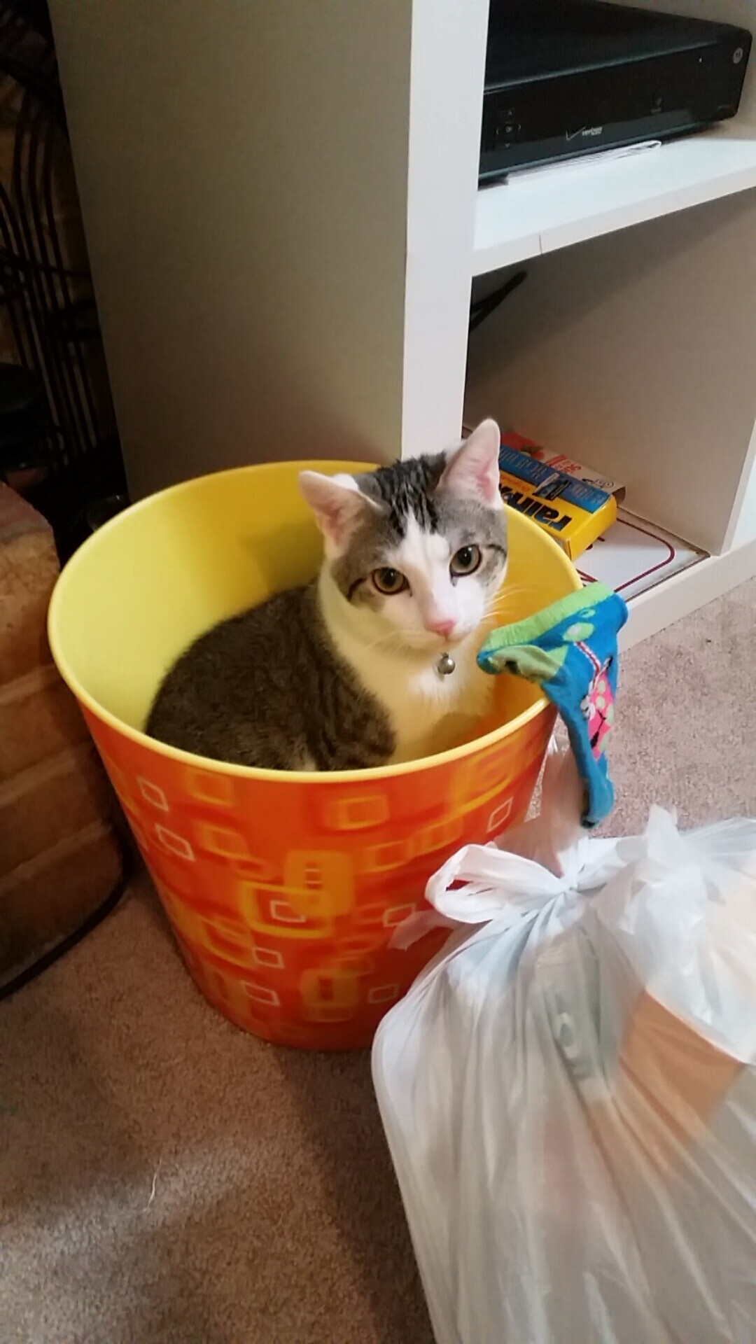 从维斯瓦河到泰晤士河，当波兰铁骑碾碎枪手，努涅斯在奥运烽火中宣告新时代